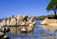 NBA即时比分直播网该怎么选？这些要点帮你找到靠谱平台